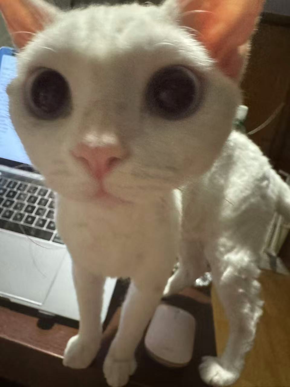 prof_pic.jpg
